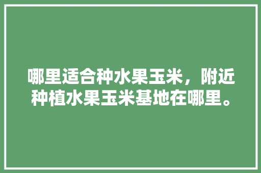 哪里适合种水果玉米，附近种植水果玉米基地在哪里。 哪里适合种水果玉米，附近种植水果玉米基地在哪里。 土壤施肥