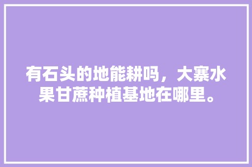 有石头的地能耕吗，大寨水果甘蔗种植基地在哪里。 有石头的地能耕吗，大寨水果甘蔗种植基地在哪里。 土壤施肥