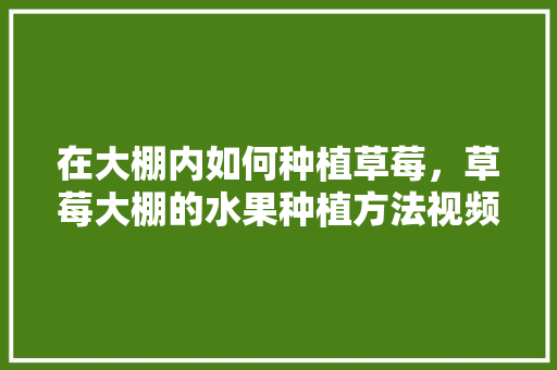 在大棚内如何种植草莓，草莓大棚的水果种植方法视频。 在大棚内如何种植草莓，草莓大棚的水果种植方法视频。 畜牧养殖