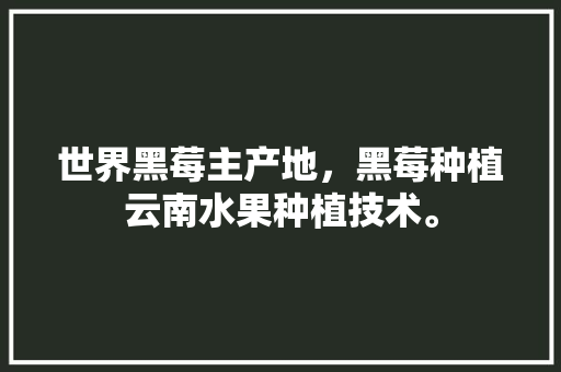 世界黑莓主产地，黑莓种植云南水果种植技术。 世界黑莓主产地，黑莓种植云南水果种植技术。 土壤施肥