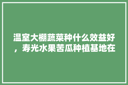 温室大棚蔬菜种什么效益好，寿光水果苦瓜种植基地在哪里。 温室大棚蔬菜种什么效益好，寿光水果苦瓜种植基地在哪里。 水果种植