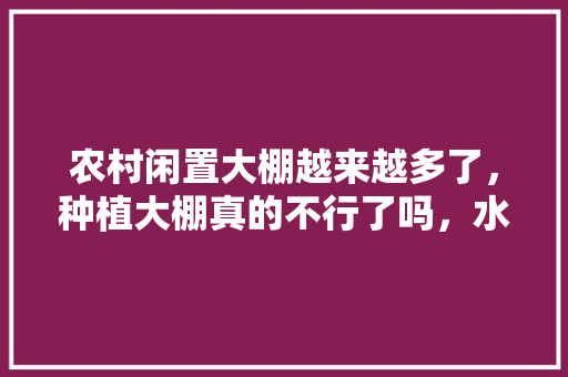 农村闲置大棚越来越多了，种植大棚真的不行了吗，水果黄瓜平度种植时间。 农村闲置大棚越来越多了，种植大棚真的不行了吗，水果黄瓜平度种植时间。 水果种植