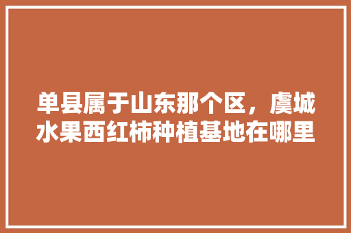 单县属于山东那个区，虞城水果西红柿种植基地在哪里。 单县属于山东那个区，虞城水果西红柿种植基地在哪里。 畜牧养殖