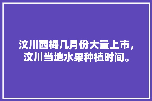 汶川西梅几月份大量上市，汶川当地水果种植时间。 汶川西梅几月份大量上市，汶川当地水果种植时间。 水果种植