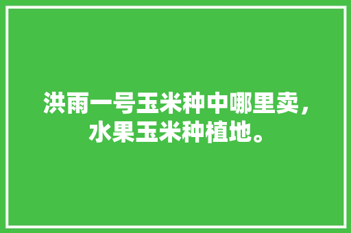 洪雨一号玉米种中哪里卖，水果玉米种植地。 畜牧养殖