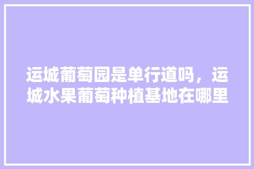 运城葡萄园是单行道吗，运城水果葡萄种植基地在哪里。 运城葡萄园是单行道吗，运城水果葡萄种植基地在哪里。 蔬菜种植