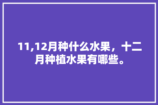 11,12月种什么水果，十二月种植水果有哪些。 11,12月种什么水果，十二月种植水果有哪些。 蔬菜种植