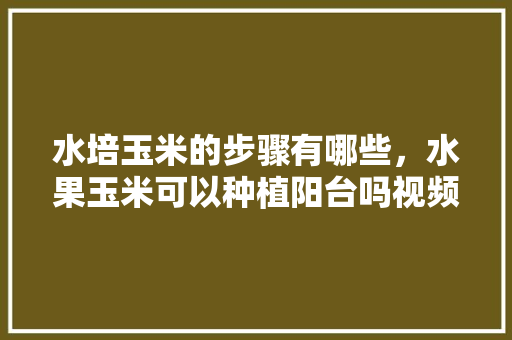 水培玉米的步骤有哪些，水果玉米可以种植阳台吗视频。 水培玉米的步骤有哪些，水果玉米可以种植阳台吗视频。 水果种植