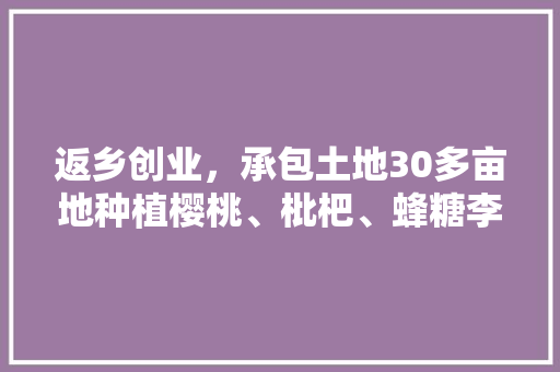 返乡创业，承包土地30多亩地种植樱桃、枇杷、蜂糖李、桃子、八月瓜、无花果，有前途吗，什么水果能上市种植呢。 返乡创业，承包土地30多亩地种植樱桃、枇杷、蜂糖李、桃子、八月瓜、无花果，有前途吗，什么水果能上市种植呢。 水果种植