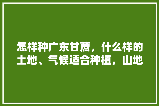 怎样种广东甘蔗，什么样的土地、气候适合种植，山地种植水果甘蔗好吗。 怎样种广东甘蔗，什么样的土地、气候适合种植，山地种植水果甘蔗好吗。 畜牧养殖