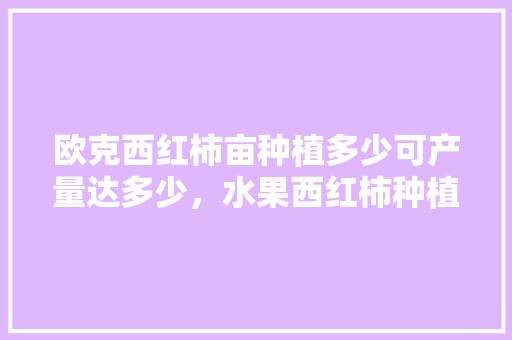 欧克西红柿亩种植多少可产量达多少，水果西红柿种植技术。 欧克西红柿亩种植多少可产量达多少，水果西红柿种植技术。 水果种植