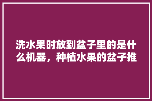 洗水果时放到盆子里的是什么机器，种植水果的盆子推荐品种。 洗水果时放到盆子里的是什么机器，种植水果的盆子推荐品种。 蔬菜种植