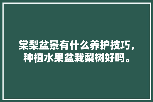 棠梨盆景有什么养护技巧，种植水果盆栽梨树好吗。 棠梨盆景有什么养护技巧，种植水果盆栽梨树好吗。 畜牧养殖