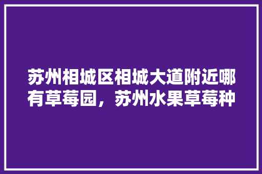 苏州相城区相城大道附近哪有草莓园，苏州水果草莓种植基地在哪里。 苏州相城区相城大道附近哪有草莓园，苏州水果草莓种植基地在哪里。 土壤施肥