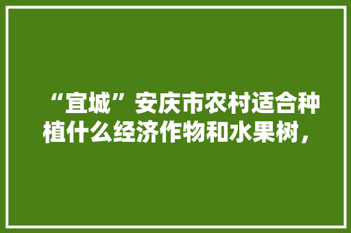 “宜城”安庆市农村适合种植什么经济作物和水果树，安庆适合种植水果吗。 “宜城”安庆市农村适合种植什么经济作物和水果树，安庆适合种植水果吗。 蔬菜种植