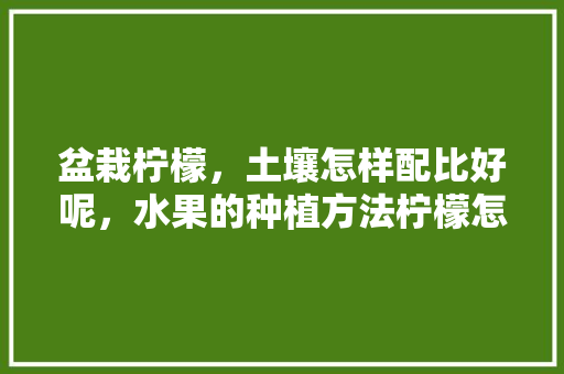 盆栽柠檬，土壤怎样配比好呢，水果的种植方法柠檬怎么种。 盆栽柠檬，土壤怎样配比好呢，水果的种植方法柠檬怎么种。 土壤施肥