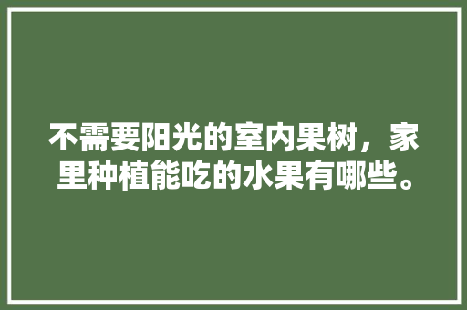 不需要阳光的室内果树，家里种植能吃的水果有哪些。 不需要阳光的室内果树，家里种植能吃的水果有哪些。 蔬菜种植