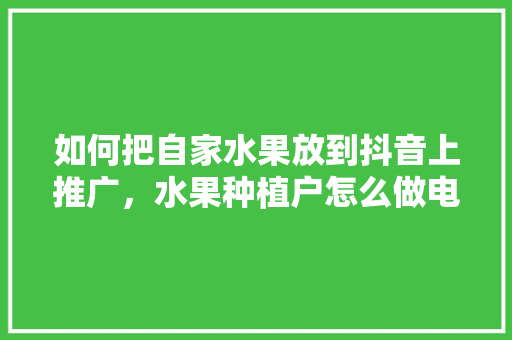 如何把自家水果放到抖音上推广，水果种植户怎么做电商。 如何把自家水果放到抖音上推广，水果种植户怎么做电商。 水果种植