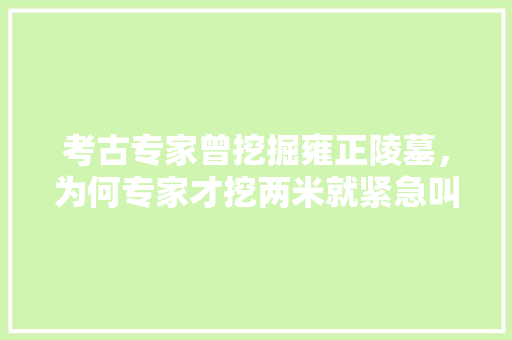 考古专家曾挖掘雍正陵墓，为何专家才挖两米就紧急叫停了，易县水果萝卜种植时间表。 考古专家曾挖掘雍正陵墓，为何专家才挖两米就紧急叫停了，易县水果萝卜种植时间表。 家禽养殖