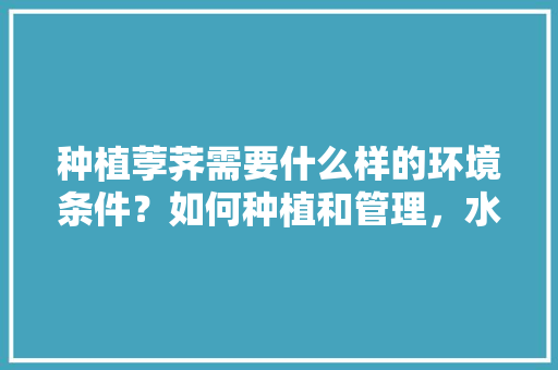 种植荸荠需要什么样的环境条件？如何种植和管理，水果马蹄荸荠种植方法视频。 种植荸荠需要什么样的环境条件？如何种植和管理，水果马蹄荸荠种植方法视频。 畜牧养殖