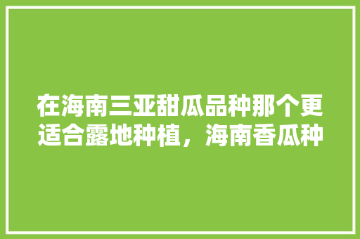 在海南三亚甜瓜品种那个更适合露地种植，海南香瓜种植水果有哪些。 在海南三亚甜瓜品种那个更适合露地种植，海南香瓜种植水果有哪些。 蔬菜种植