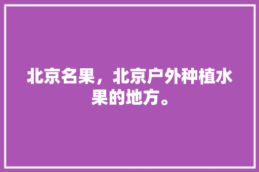 北京名果，北京户外种植水果的地方。 北京名果，北京户外种植水果的地方。 土壤施肥