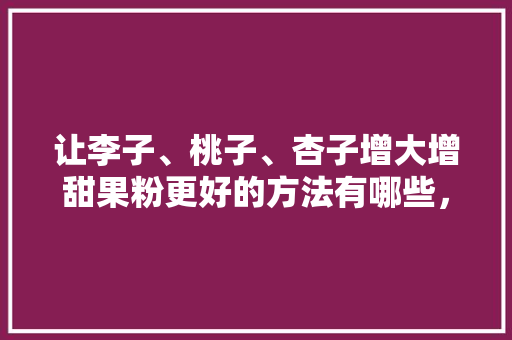 让李子、桃子、杏子增大增甜果粉更好的方法有哪些，甜水果种植技术与管理。 让李子、桃子、杏子增大增甜果粉更好的方法有哪些，甜水果种植技术与管理。 蔬菜种植