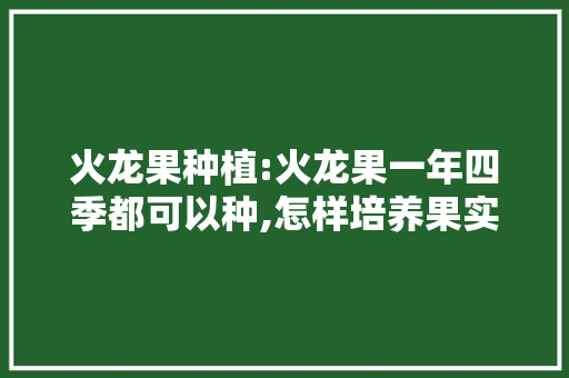 火龙果种植:火龙果一年四季都可以种,怎样培养果实的品质更好呢，火龙岩水果种植方法视频。 火龙果种植:火龙果一年四季都可以种,怎样培养果实的品质更好呢，火龙岩水果种植方法视频。 畜牧养殖