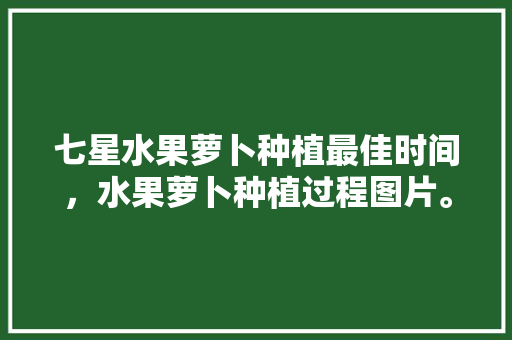 七星水果萝卜种植最佳时间，水果萝卜种植过程图片。 七星水果萝卜种植最佳时间，水果萝卜种植过程图片。 畜牧养殖