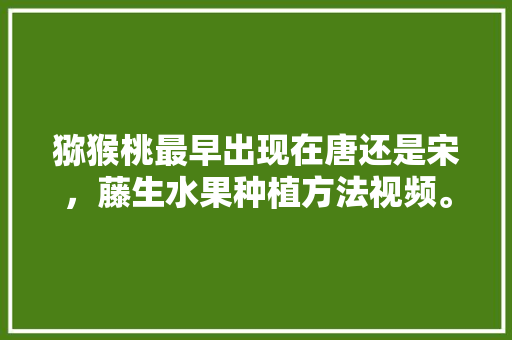 猕猴桃最早出现在唐还是宋，藤生水果种植方法视频。 猕猴桃最早出现在唐还是宋，藤生水果种植方法视频。 畜牧养殖