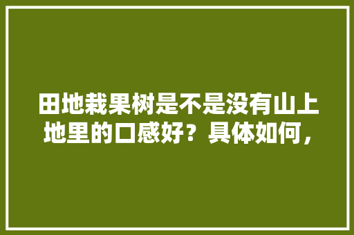 田地栽果树是不是没有山上地里的口感好？具体如何，水果山上种植方法。 田地栽果树是不是没有山上地里的口感好？具体如何，水果山上种植方法。 土壤施肥