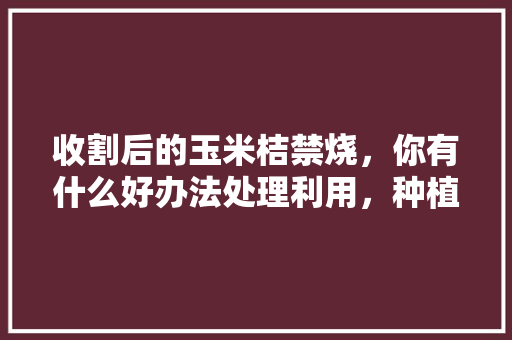 收割后的玉米桔禁烧，你有什么好办法处理利用，种植水果玉米怎么防冻害呢。 收割后的玉米桔禁烧，你有什么好办法处理利用，种植水果玉米怎么防冻害呢。 水果种植