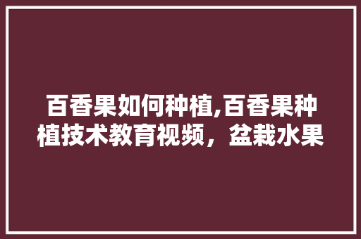 百香果如何种植,百香果种植技术教育视频，盆栽水果种植方法视频教程。 百香果如何种植,百香果种植技术教育视频，盆栽水果种植方法视频教程。 土壤施肥