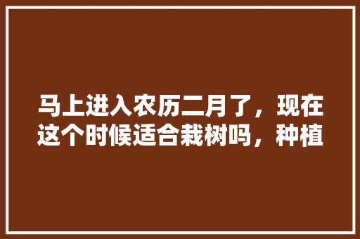 马上进入农历二月了，现在这个时候适合栽树吗，种植类水果苗有哪些。 马上进入农历二月了，现在这个时候适合栽树吗，种植类水果苗有哪些。 家禽养殖