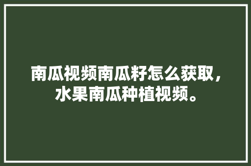 南瓜视频南瓜籽怎么获取，水果南瓜种植视频。 南瓜视频南瓜籽怎么获取，水果南瓜种植视频。 家禽养殖