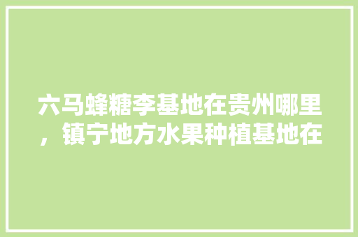 六马蜂糖李基地在贵州哪里，镇宁地方水果种植基地在哪里。 六马蜂糖李基地在贵州哪里，镇宁地方水果种植基地在哪里。 土壤施肥