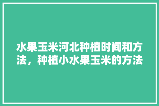 水果玉米河北种植时间和方法，种植小水果玉米的方法。 水果玉米河北种植时间和方法，种植小水果玉米的方法。 土壤施肥