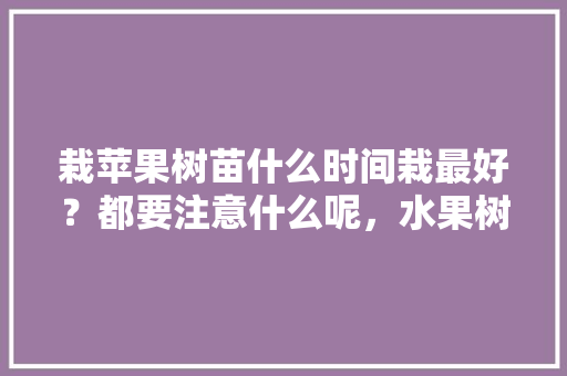 栽苹果树苗什么时间栽最好？都要注意什么呢，水果树春天种植可以吗。 栽苹果树苗什么时间栽最好？都要注意什么呢，水果树春天种植可以吗。 畜牧养殖