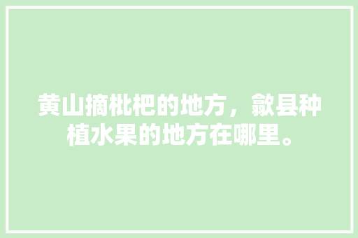 黄山摘枇杷的地方，歙县种植水果的地方在哪里。 黄山摘枇杷的地方，歙县种植水果的地方在哪里。 家禽养殖