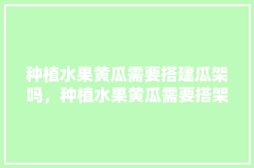 种植水果黄瓜需要搭建瓜架吗，种植水果黄瓜需要搭架么?。 种植水果黄瓜需要搭建瓜架吗，种植水果黄瓜需要搭架么?。 土壤施肥