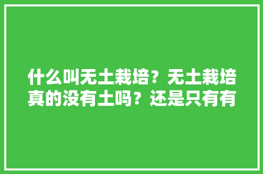 什么叫无土栽培？无土栽培真的没有土吗？还是只有有机肥料，无土水果种植技术要点。 什么叫无土栽培？无土栽培真的没有土吗？还是只有有机肥料，无土水果种植技术要点。 土壤施肥