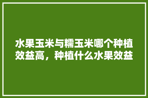 水果玉米与糯玉米哪个种植效益高，种植什么水果效益快些呢。 水果玉米与糯玉米哪个种植效益高，种植什么水果效益快些呢。 土壤施肥