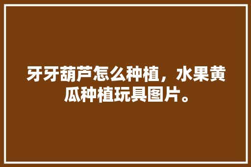 牙牙葫芦怎么种植，水果黄瓜种植玩具图片。 牙牙葫芦怎么种植，水果黄瓜种植玩具图片。 土壤施肥