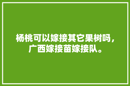 杨桃可以嫁接其它果树吗，广西嫁接苗嫁接队。 杨桃可以嫁接其它果树吗，广西嫁接苗嫁接队。 家禽养殖