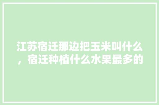 江苏宿迁那边把玉米叫什么，宿迁种植什么水果最多的。 江苏宿迁那边把玉米叫什么，宿迁种植什么水果最多的。 家禽养殖