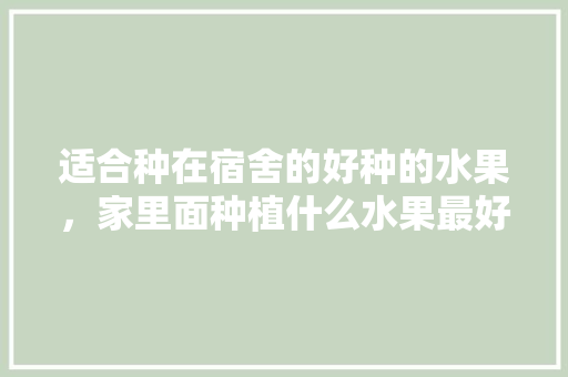 适合种在宿舍的好种的水果，家里面种植什么水果最好。 适合种在宿舍的好种的水果，家里面种植什么水果最好。 水果种植