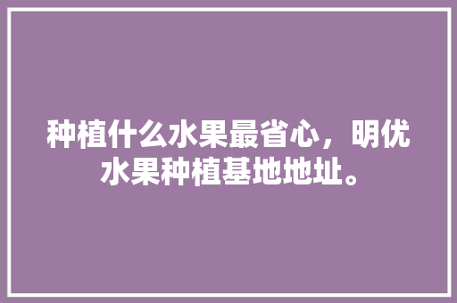 种植什么水果最省心，明优水果种植基地地址。 种植什么水果最省心，明优水果种植基地地址。 畜牧养殖