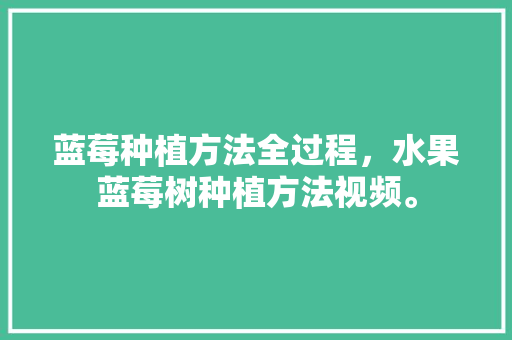 蓝莓种植方法全过程，水果蓝莓树种植方法视频。 蓝莓种植方法全过程，水果蓝莓树种植方法视频。 土壤施肥