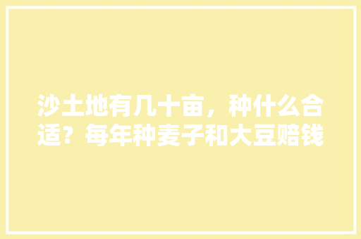 沙土地有几十亩，种什么合适？每年种麦子和大豆赔钱，该怎么转变，水果蔬菜沙土种植方法。 沙土地有几十亩，种什么合适？每年种麦子和大豆赔钱，该怎么转变，水果蔬菜沙土种植方法。 土壤施肥