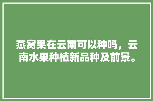 燕窝果在云南可以种吗，云南水果种植新品种及前景。 燕窝果在云南可以种吗，云南水果种植新品种及前景。 土壤施肥